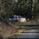 Illustration for article titled CRC 2015 Rally of the Tall Pines Photodump